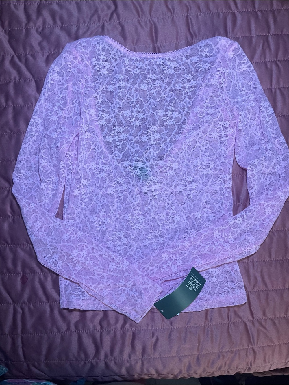 Wild Fable Pink Floral Lace Sheer V-Neck Long Sleeve Pullover Top XXS
